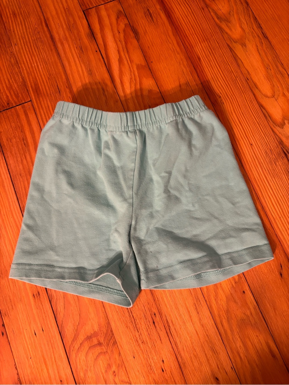 Hanna Andersson Teal Bike Shorts